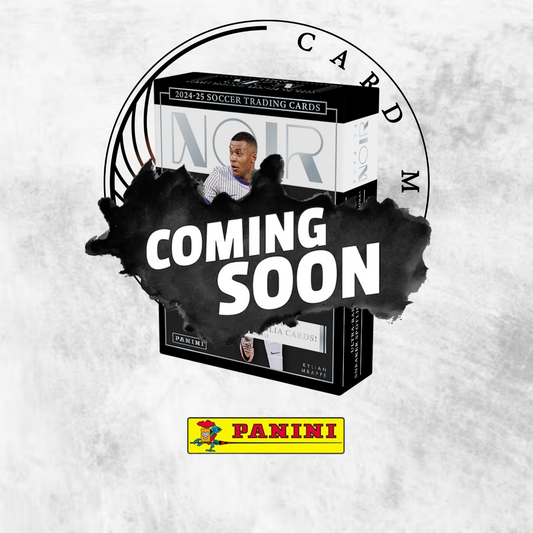 Hobby Box Panini Noir 2025